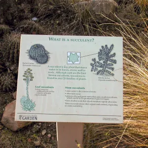 â€œWhat is a Succulent?â€ interpretive sign