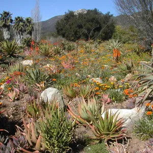 Taft Gardens