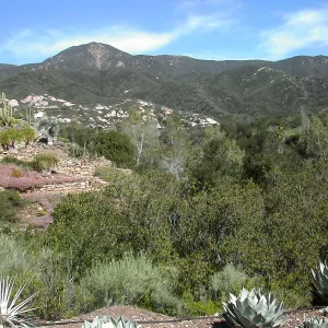 Taft Gardens