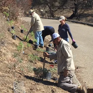 Martin Luther King Day of Service at the Ventura Botanical Garden