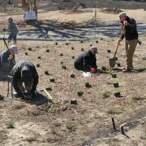 Martin Luther King Day of Service at the Ventura Botanical Garden