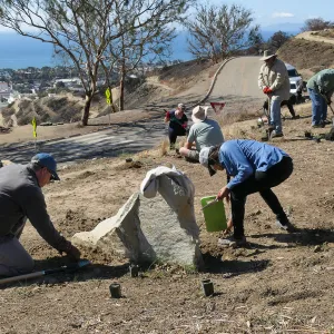 Martin Luther King Day of Service at the Ventura Botanical Garden