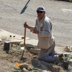 Martin Luther King Day of Service at the Ventura Botanical Garden