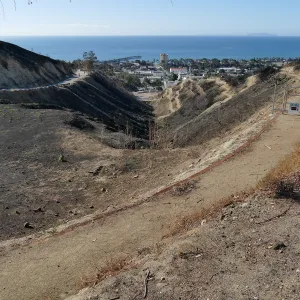 Looking south from Brakey Drive across the Ventura Botanical Garden after the Thomas Fire