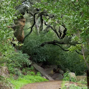 Canyon Trail