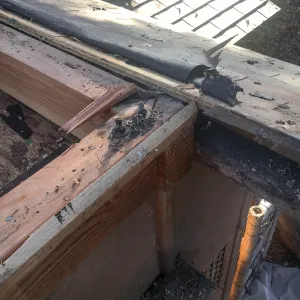 Teahouse & Garden Improvements 2018