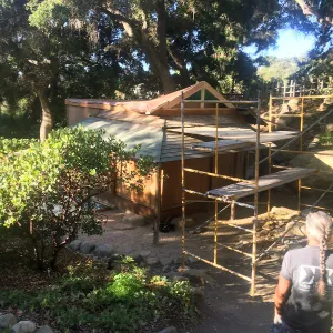Teahouse & Garden Improvements 2018