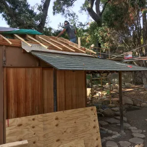 Teahouse & Garden Improvements 2018