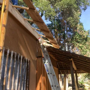 Teahouse & Garden Improvements 2018