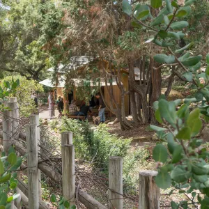 Tea Ceremony at ShinKanAn Teahouse