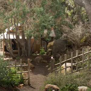 Tea Ceremony at ShinKanAn Teahouse