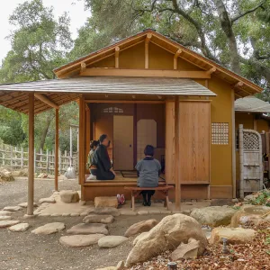 Tea Ceremony at ShinKanAn Teahouse