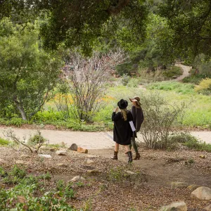 2018 Santa Barbara Beer Garden Event, Meadow View