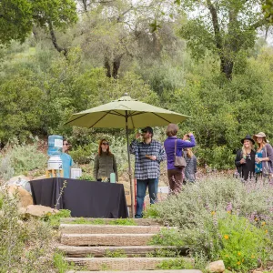 2018 Santa Barbara Beer Garden Event, Santa Barbara Brewing Co., Meadow View