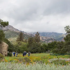 2018 Santa Barbara Beer Garden Event, Meadow