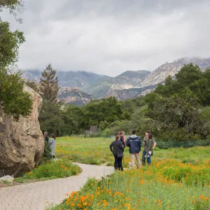 2018 Santa Barbara Beer Garden Event, Meadow