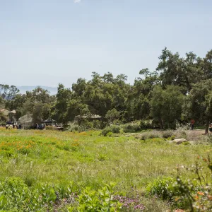 2018 Santa Barbara Beer Garden Event, Meadow