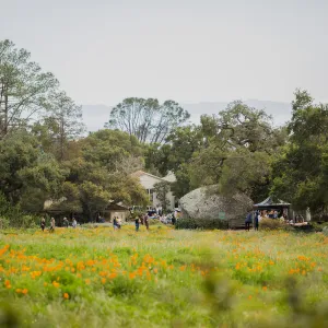 2018 Santa Barbara Beer Garden Event, Meadow