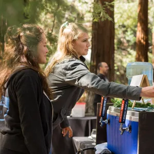2018 Santa Barbara Beer Garden Event, M Special Brewing Co., Redwood Section
