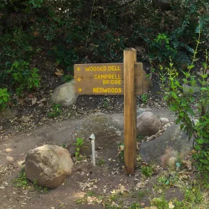 Wayfinding sign 03cb (in location for 08cb)