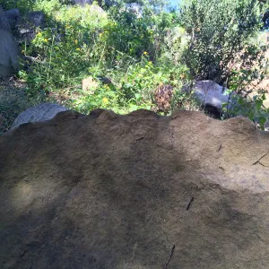 Historic rock drilling in Canyon