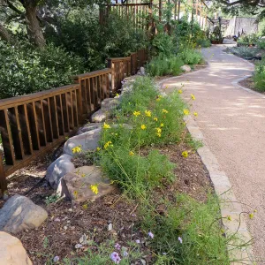 Old driveway at renovated Water Wise Home Garden