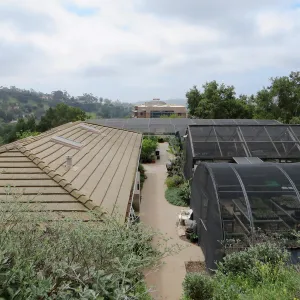 View from upper parking lot over nursery to Pritzlaff Conservation Center