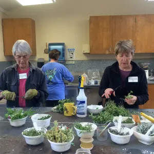 Hort nursery volunteers, Janet and Jeanne