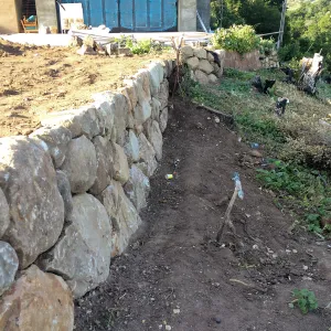 Reconstruction of east side wall at the Conservation Center
