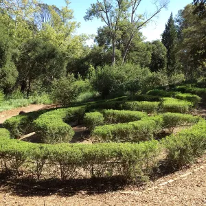 Centennial Maze