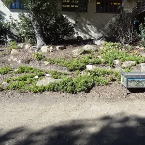 signs in the Discovery Garden, Arroyo Section