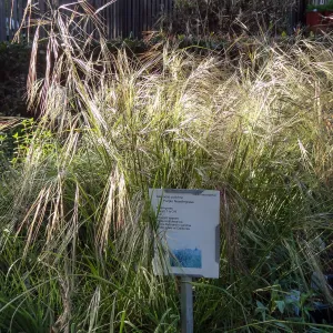 Spring Plant Sale 2014