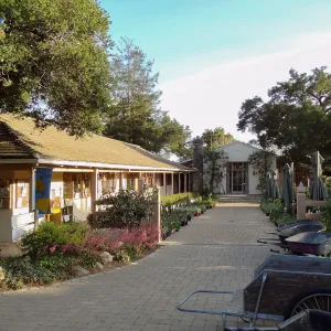 Garden Shop and Courtyard, Spring Plant Sale 2014