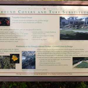 Ground Cover interpretation panel