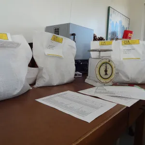 Seed Bank at Horticulture unit