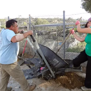 Construction at the Hort Unit, James Lechuga, Heather Wehnau