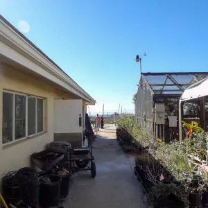 Construction at the Hort Unit, SBBG staff install the new shade structure