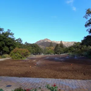 Meadow revival project, grow kill treatment