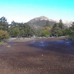Meadow revival project, grow kill treatment, panorama