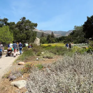 Visitors in the Garden, lower Meadow