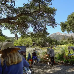 painters, painting the spring wildflower Meadow, 2014