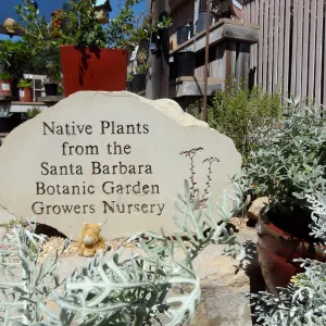 Garden Growers Nursery