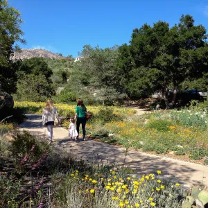 visitors on path to the spring wildflower Meadow, 2014, SBBG
