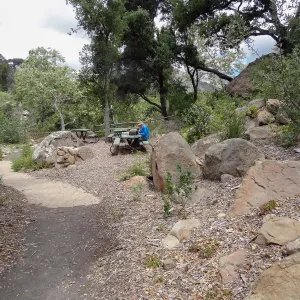picnic area, 5 years post Jesusita Fire