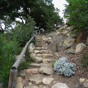 Campbell Trail, 5 years post Jesusita Fire