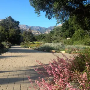 View from upper Courtyard
