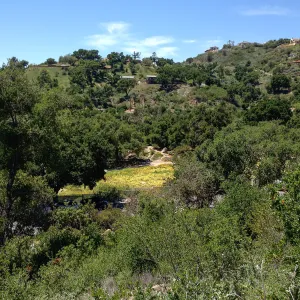 view to Meadow from Porter Trail