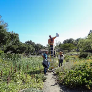 John Wardlaw, Randy Wright, Stacy Bloodworth, recreating the historic photo of two girls in the Meadow with wildflowers