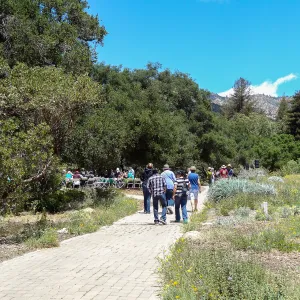 Members Picnic 2014