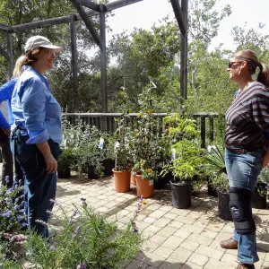 Spring Plant Sale 2014, Wendy Wittl, Heather Wehnau